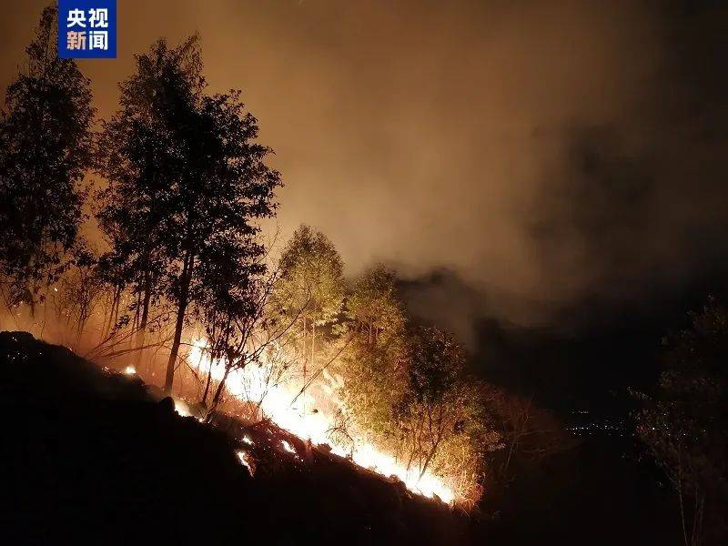 广东肇庆、江门发生山火