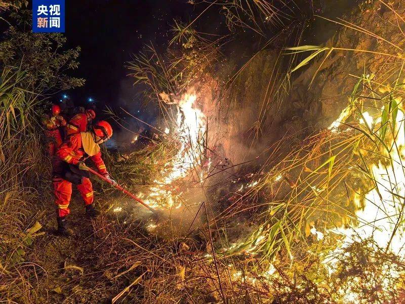 广东肇庆、江门发生山火