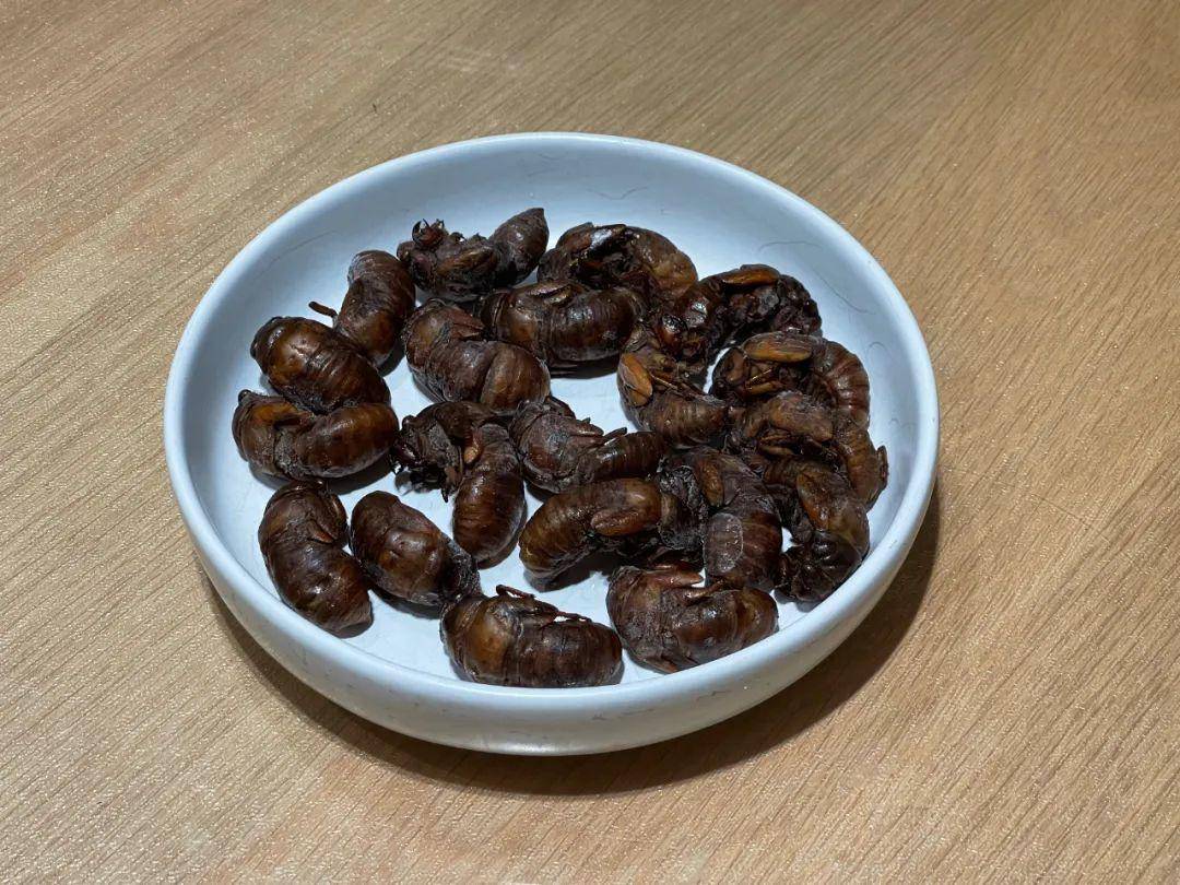 一斤超百元！山东的知了猴怎么就火出圈了？