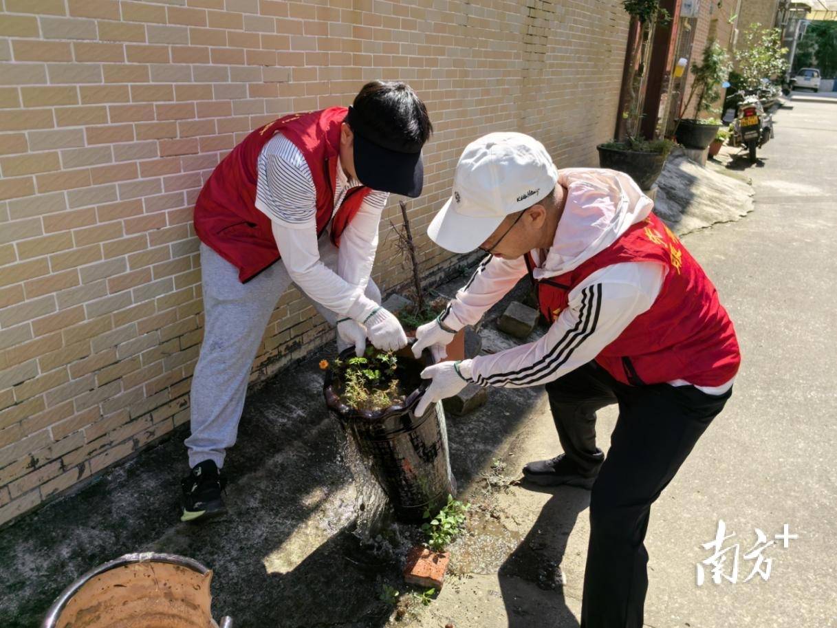顺德超3300名党员干部下沉一线,党群联动打响蚊媒防控歼灭战