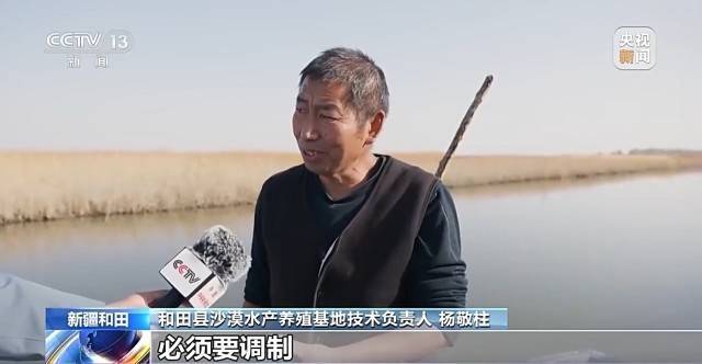 沙漠边缘养螃蟹 新疆如何做到“海鲜”大丰收？