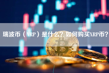 xrp去中心化交易所购买(去中心化交易所shibaswap)