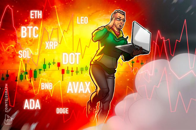 xrp空投sol在哪里领取的简单介绍