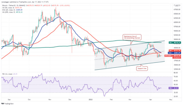 xrp和bch哪个好(xrp和eos哪个更有前景)