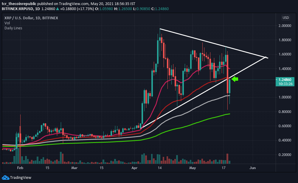 xrp能否反弹(xrp是不是废了)