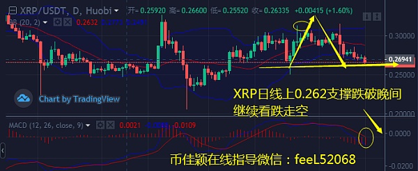 xrp能否反弹(xrp是不是废了)