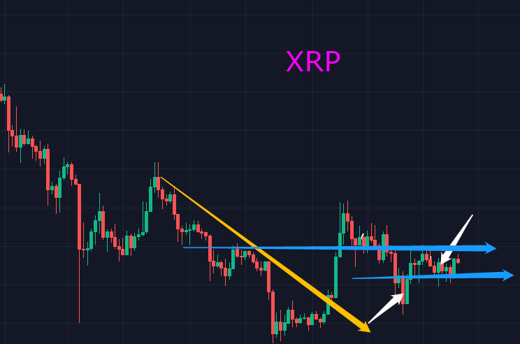 xrp重新上架(xrp到底怎么了)