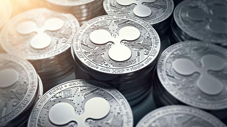 关于2xRp2的信息
