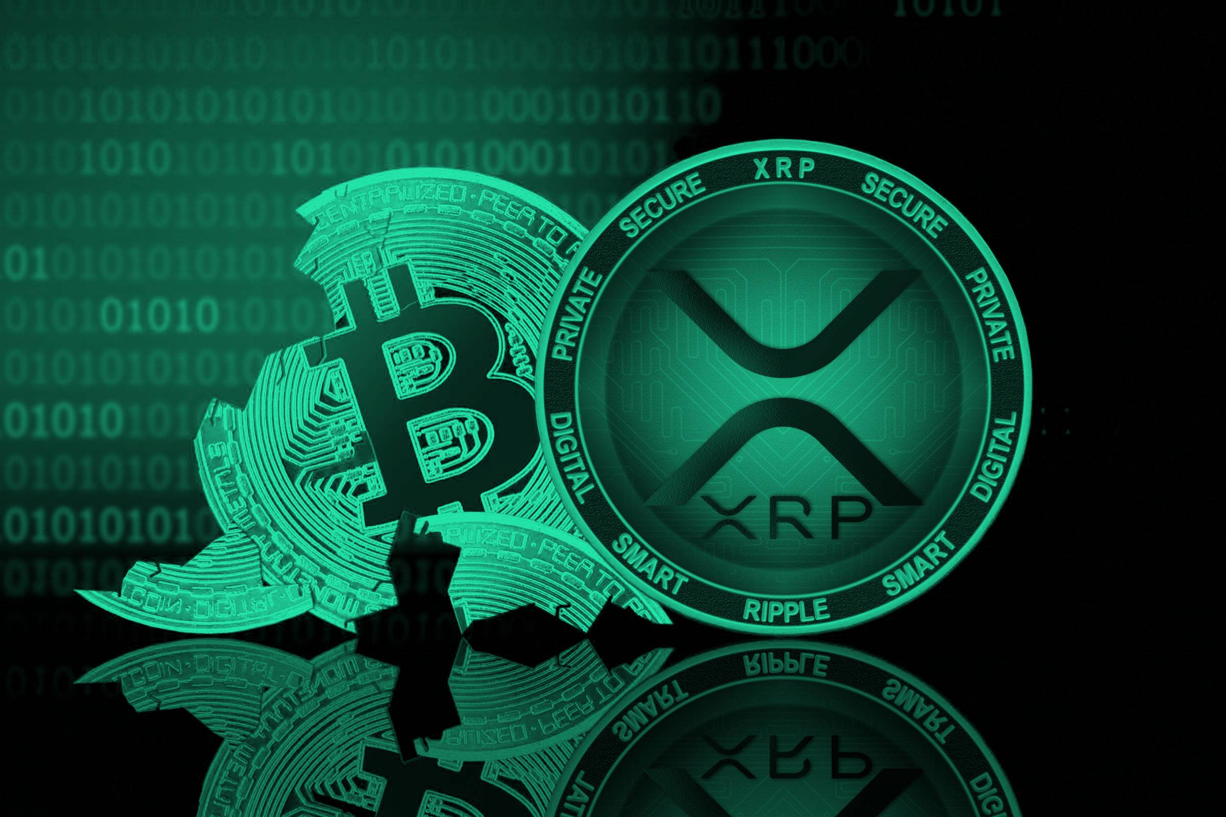 xrp66(XRP6668)