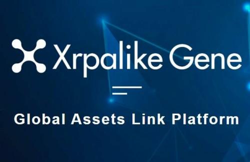 xrp教程(xrp币最新消息)