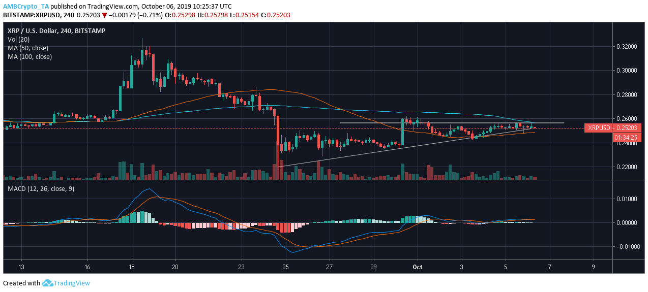 2019年xrp能涨多少(xrp2021年能涨到多少)