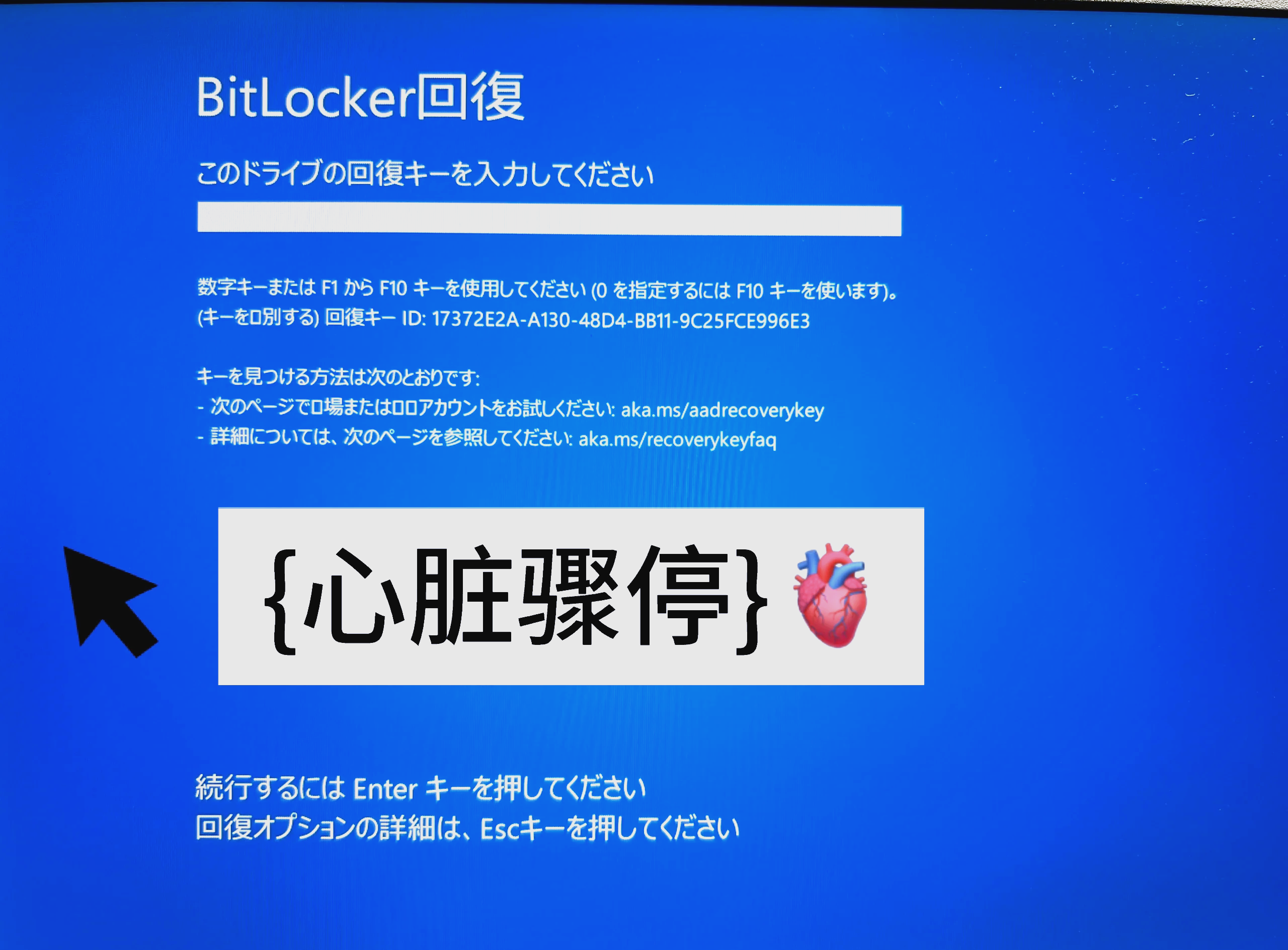 bitop官网(bitepro官网)